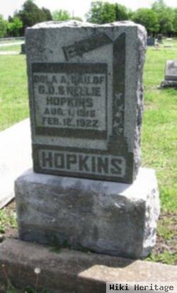 Dola A. Hopkins