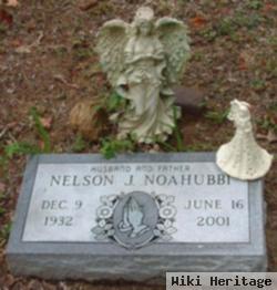 Nelson James Noahubbi