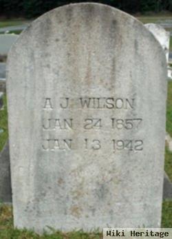 Andrew Jackson Wilson