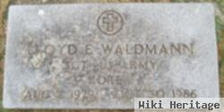 Lloyd E Waldmann