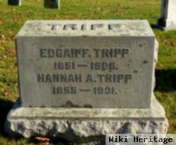 Edgar F. Tripp