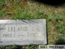 Leland J Knapp