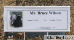 Bruce Wilson