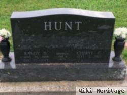 Randy D. Hunt