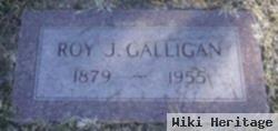 Roy J Galligan