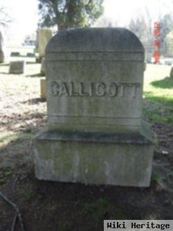 George I. Callicott