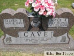 Steven F Cave