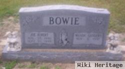 Joe Robert Bowie