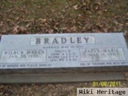 Wilbur Hayes Bradley