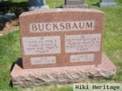 Ida Gervich Bucksbaum