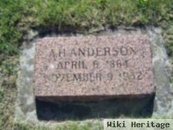 Anders H Anderson