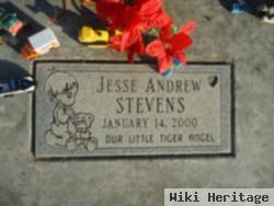 Jesse Andrew Stevens