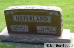 Carrie L Fossler Osterland