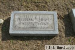 William Johnston Rice