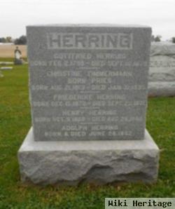 Henry Herring