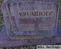 Harry A Krumholz