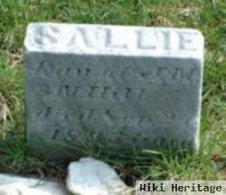 Sallie Hill