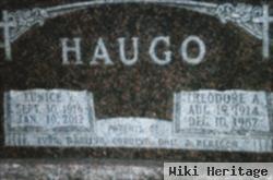 Theodore A. Haugo