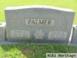 Voyle E Palmer