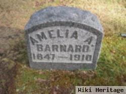 Amelia A. Sylvester Barnard