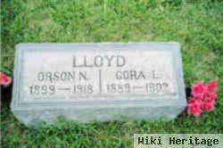 Orson Nicles Lloyd