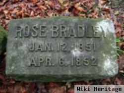 Rose Bradley