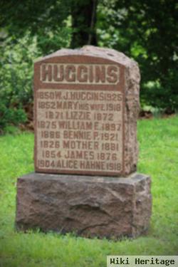 William John Huggins