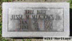 Jesse M "free Bird" Meadows, Jr