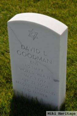 David L Goodman