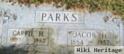 Jacob Harvey "jake" Parks