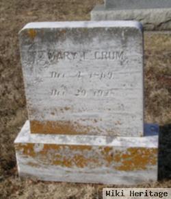 Mary Lizzie Crum