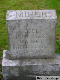 Joel Miner