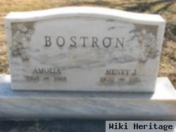 Henry J Bostron