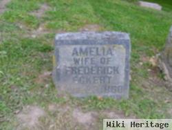 Amelia Labs Eckert