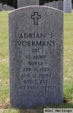 Adrian J Voermans