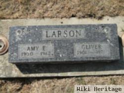 Amy E. Olson Larson