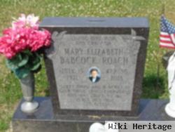 Mary E Babcock Roach