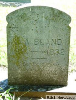 J. A. Bland