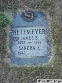 Sandra K Netemeyer