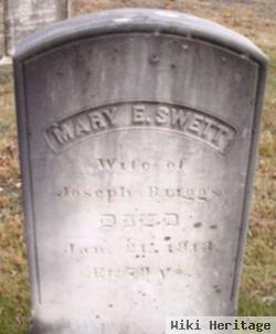 Mary E Swett Briggs