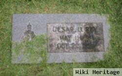 Cesar O Rey