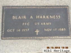 Blair Allen Harkness