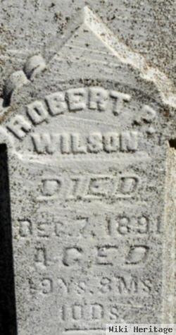 Robert P Wilson