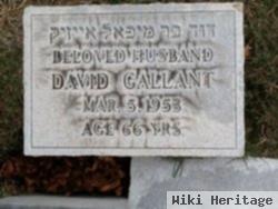 David Gallant