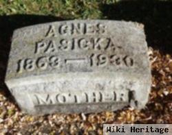 Agnes Voelkel Pasicka