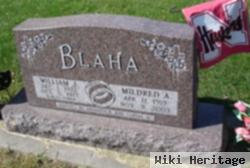 William John Blaha