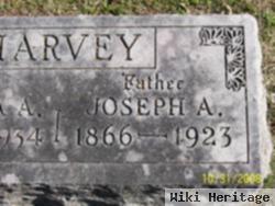 Joseph A Harvey