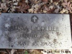 Alissa Louise Hagin Collier