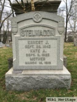 Ernest J. Stelwagon