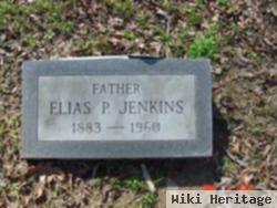 Elias P Jenkins